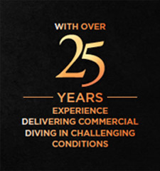 25 Years Experience